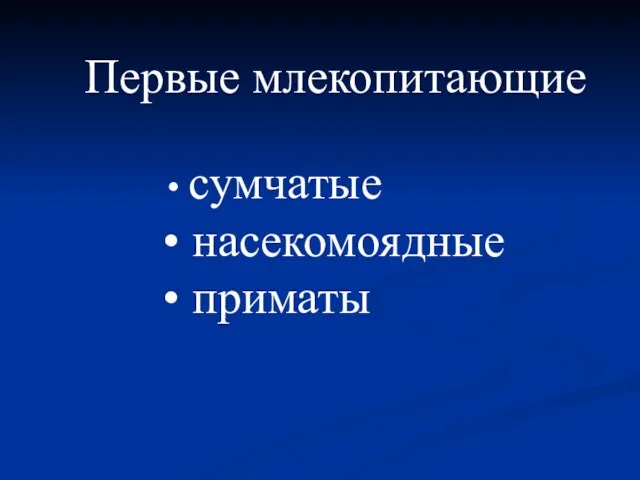 Первые млекопитающие сумчатые насекомоядные приматы