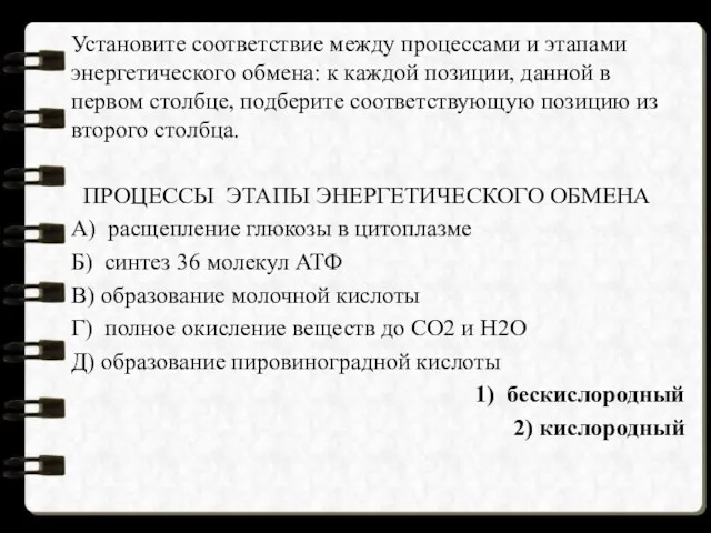 Установите соответствие между процессами и этапами энергетического обмена: к каждой