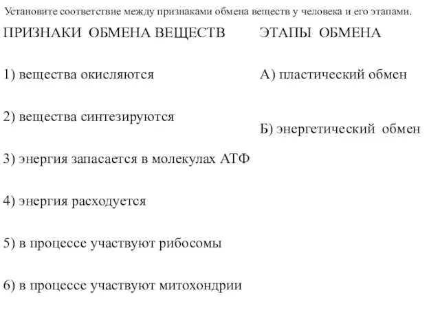 Установите соответствие между признаками обмена веществ у человека и его этапами.