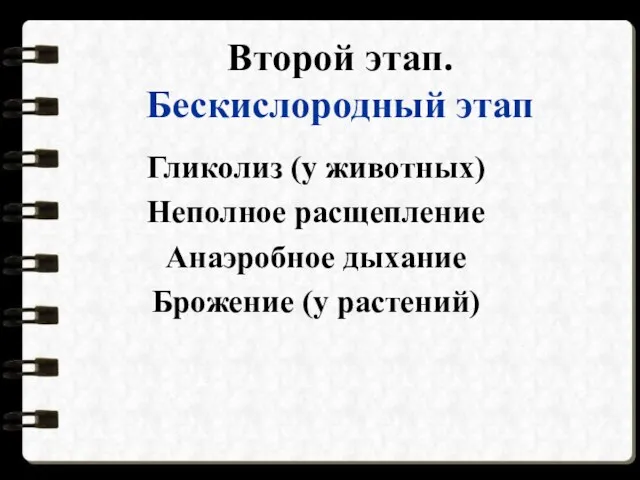 Второй этап. Бескислородный этап Гликолиз (у животных) Неполное расщепление Анаэробное дыхание Брожение (у растений)