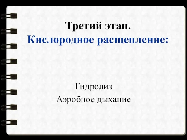 Третий этап. Кислородное расщепление: Гидролиз Аэробное дыхание