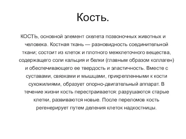 Кость. КОСТЬ, основной элемент скелета позвоночных животных и человека. Костная