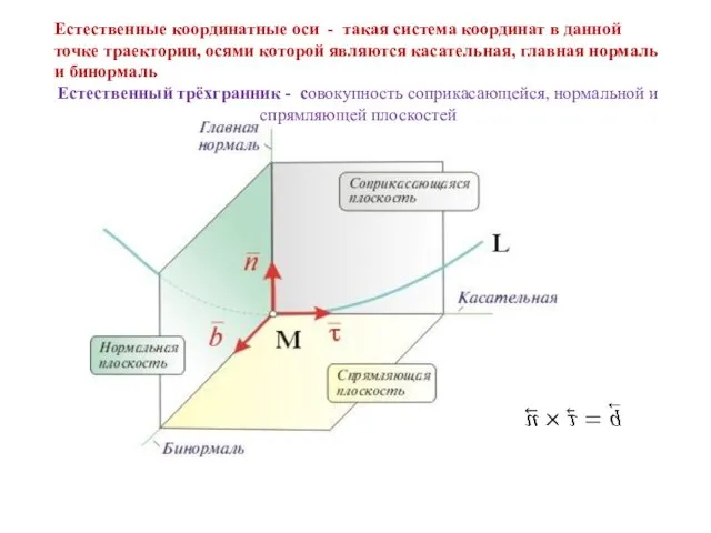 Естественные координатные оси - такая система координат в данной точке