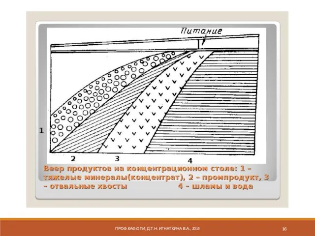 ПРОФ.КАФ.ОПИ, Д.Т.Н. ИГНАТКИНА В.А., 2019