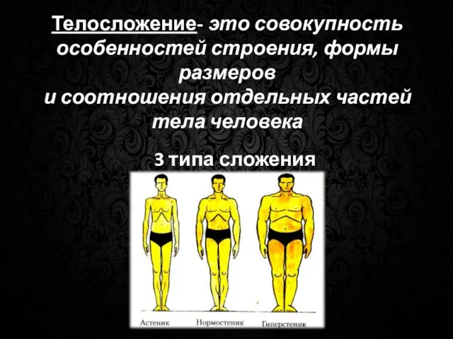 Телосложение- это совокупность особенностей строения, формы размеров и соотношения отдельных частей тела человека 3 типа сложения