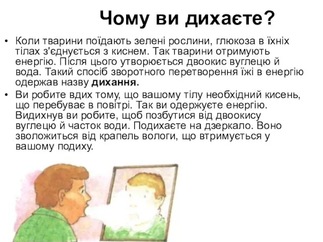 Чому ви дихаєте? Коли тварини поїдають зелені рослини, глюкоза в