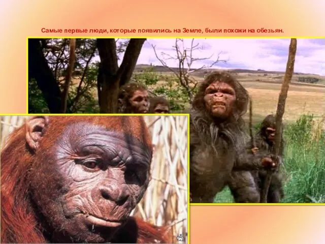 Самые первые люди, которые появились на Земле, были похожи на обезьян.