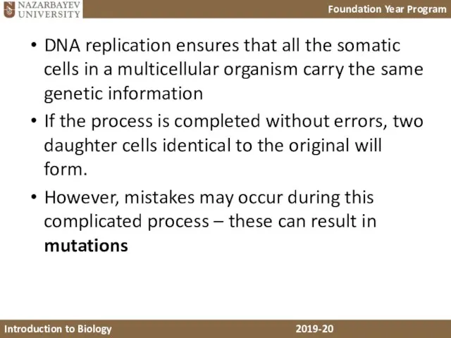 DNA replication ensures that all the somatic cells in a