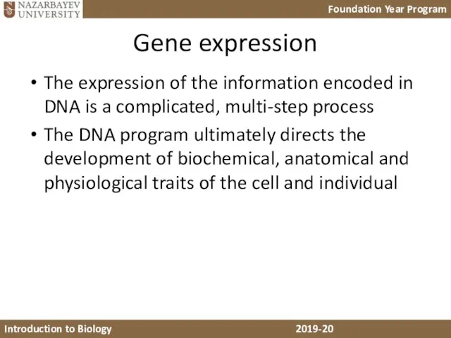 Gene expression The expression of the information encoded in DNA