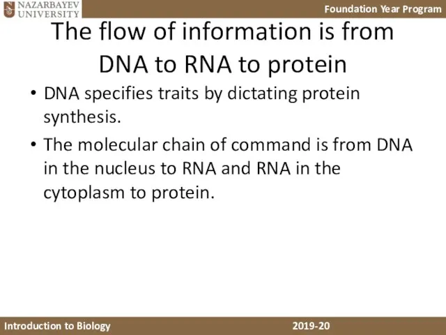 The flow of information is from DNA to RNA to