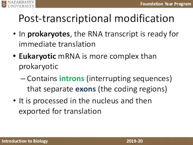 Post-transcriptional modification In prokaryotes, the RNA transcript is ready for