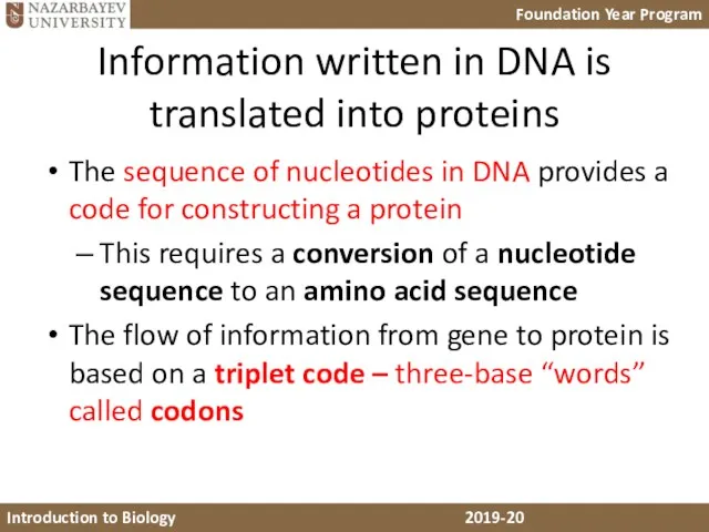 Information written in DNA is translated into proteins The sequence