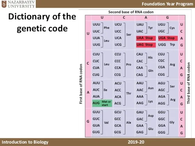 Dictionary of the genetic code