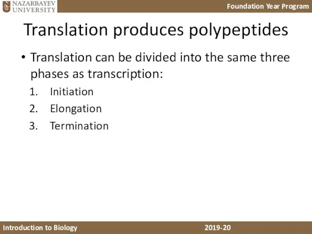 Translation produces polypeptides Translation can be divided into the same