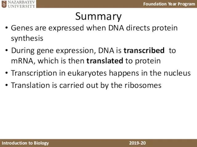Summary Genes are expressed when DNA directs protein synthesis During