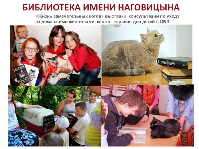 «Жизнь замечательных котов» выставки, консультации по уходу за домашними животными, кошко –терапия для детей с ОВЗ