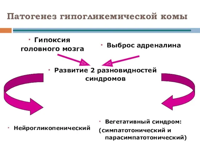 Патогенез гипогликемической комы Гипоксия головного мозга Выброс адреналина Нейрогликопенический Вегетативный