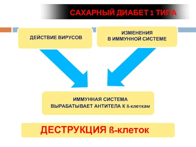 Жить, побеждая диабет! ДЕСТРУКЦИЯ ß-клеток САХАРНЫЙ ДИАБЕТ 1 ТИПА