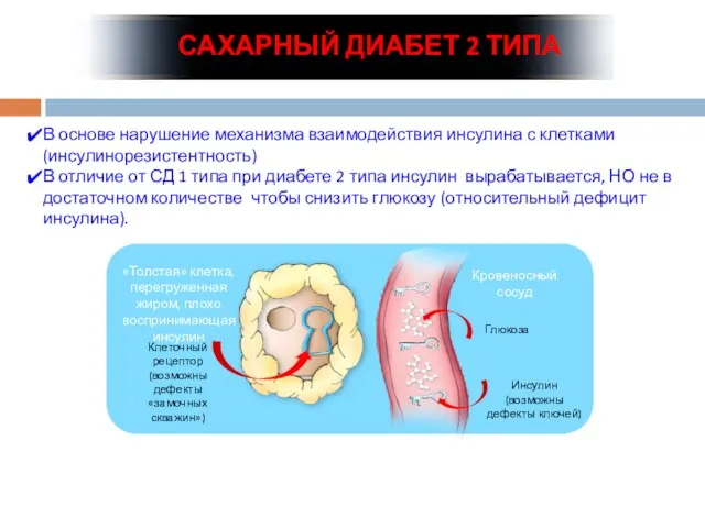 САХАРНЫЙ ДИАБЕТ 2 ТИПА В основе нарушение механизма взаимодействия инсулина