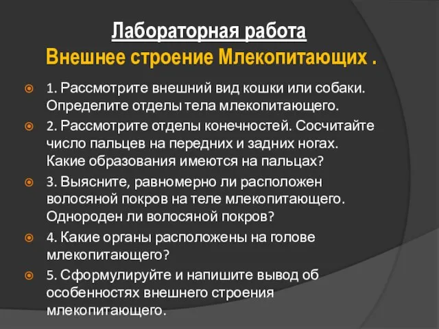 Лабораторная работа Внешнее строение Млекопитающих . 1. Рассмотрите внешний вид