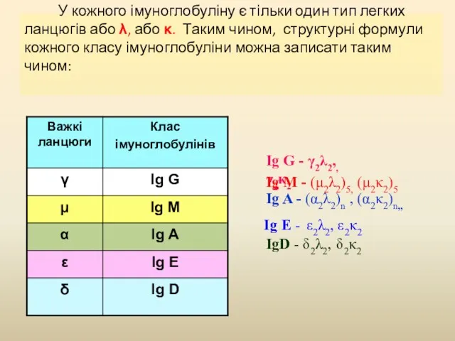 У кожного імуноглобуліну є тільки один тип легких ланцюгів або