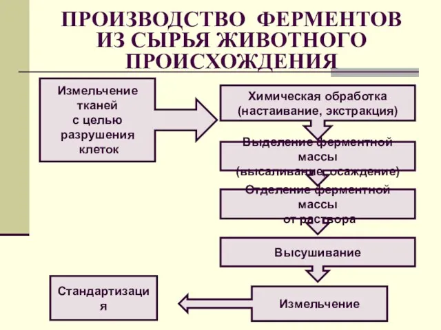 ПРОИЗВОДСТВО ФЕРМЕНТОВ ИЗ СЫРЬЯ ЖИВОТНОГО ПРОИСХОЖДЕНИЯ Высушивание Химическая обработка (настаивание,