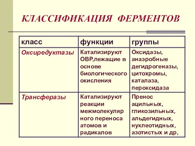 КЛАССИФИКАЦИЯ ФЕРМЕНТОВ