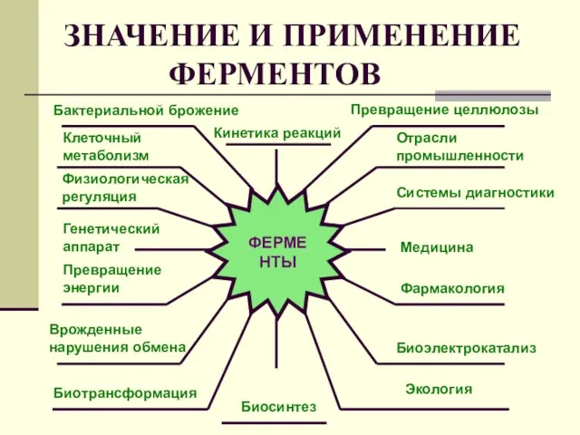 ЗНАЧЕНИЕ И ПРИМЕНЕНИЕ ФЕРМЕНТОВ ФЕРМЕНТЫ Системы диагностики Кинетика реакций Биосинтез