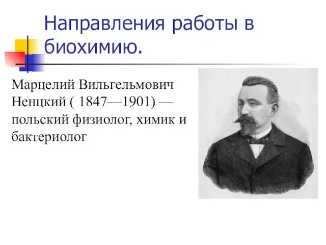 Направления работы в биохимию. Марцелий Вильгельмович Ненцкий ( 1847—1901) — польский физиолог, химик и бактериолог
