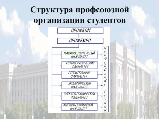 Структура профсоюзной организации студентов