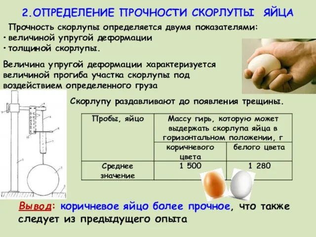 2.ОПРЕДЕЛЕНИЕ ПРОЧНОСТИ СКОРЛУПЫ ЯЙЦА Прочность скорлупы определяется двумя показателями: величиной