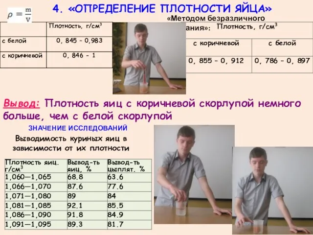 4. «ОПРЕДЕЛЕНИЕ ПЛОТНОСТИ ЯЙЦА» «Методом безразличного плавания»: Вывод: Плотность яиц