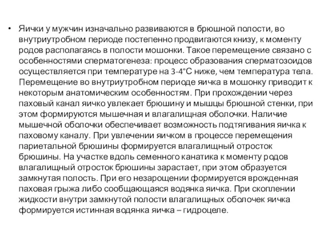 Яички у мужчин изначально развиваются в брюшной полости, во внутриутробном