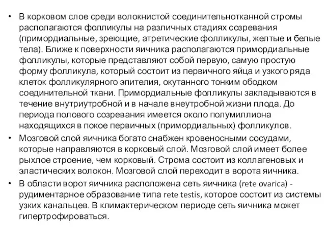 В корковом слое среди волокнистой соединительнотканной стромы располагаются фолликулы на