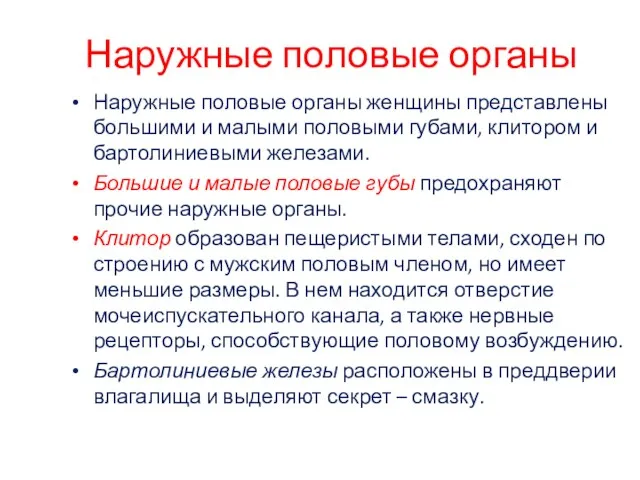 Наружные половые органы Наружные половые органы женщины представлены большими и