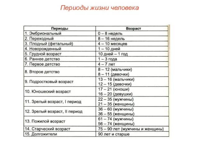 Периоды жизни человека