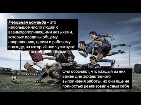 Реальная команда – это небольшое число людей с взаимодополняющими навыками,