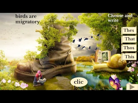 birds are migratory. Choose and write