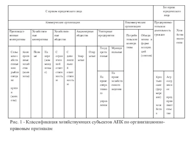 Рис. 1 - Классификация хозяйствующих субъектов АПК по организационно-правовым признакам