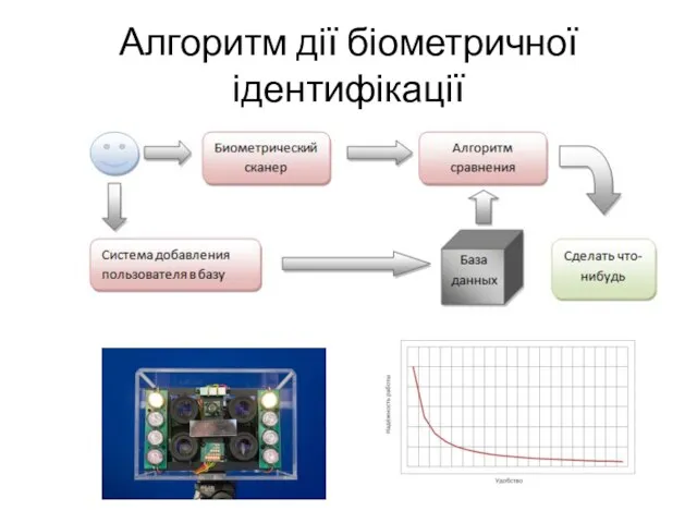 Алгоритм дії біометричної ідентифікації