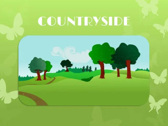 COUNTRYSIDE