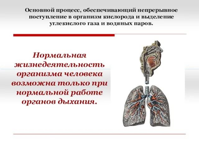 Нормальная жизнедеятельность организма человека возможна только при нормальной работе органов