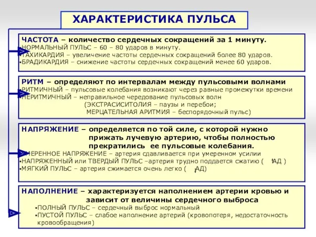 ХАРАКТЕРИСТИКА ПУЛЬСА ЧАСТОТА – количество сердечных сокращений за 1 минуту.