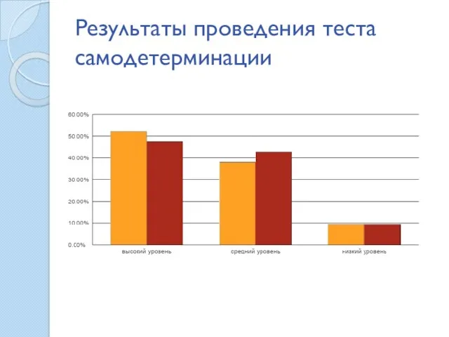 Результаты проведения теста самодетерминации