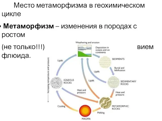 Место метаморфизма в геохимическом цикле Метаморфизм – изменения в породах с ростом (не
