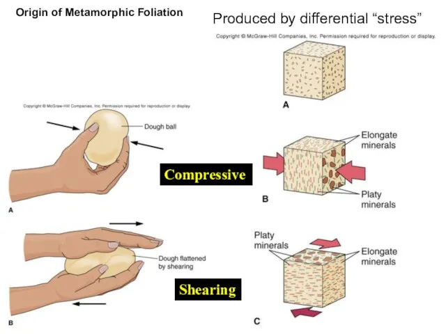 Origin of Metamorphic Foliation Produced by differential “stress” Compressive Shearing