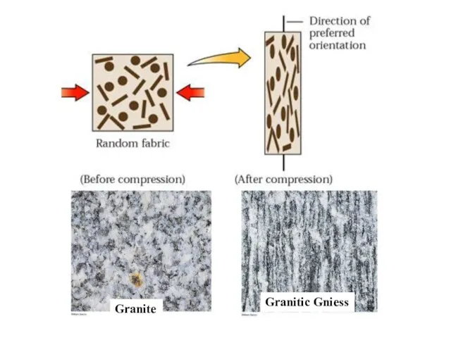 Granite Granitic Gniess
