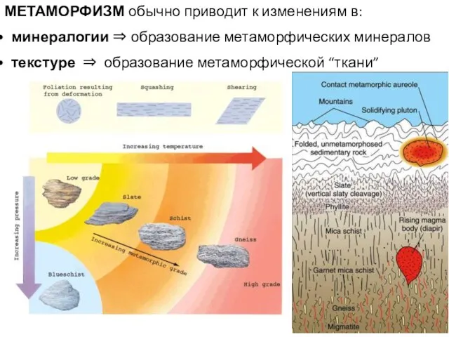 МЕТАМОРФИЗМ обычно приводит к изменениям в: минералогии ⇒ образование метаморфических минералов текстуре ⇒ образование метаморфической “ткани”