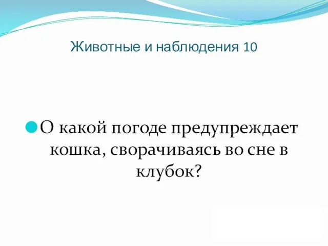 Животные и наблюдения 10 О какой погоде предупреждает кошка, сворачиваясь во сне в клубок? ДАЛЕЕ