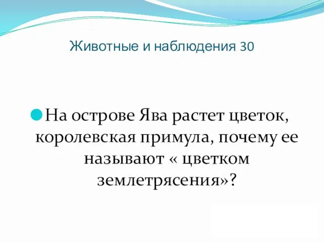 Животные и наблюдения 30 На острове Ява растет цветок, королевская примула, почему ее